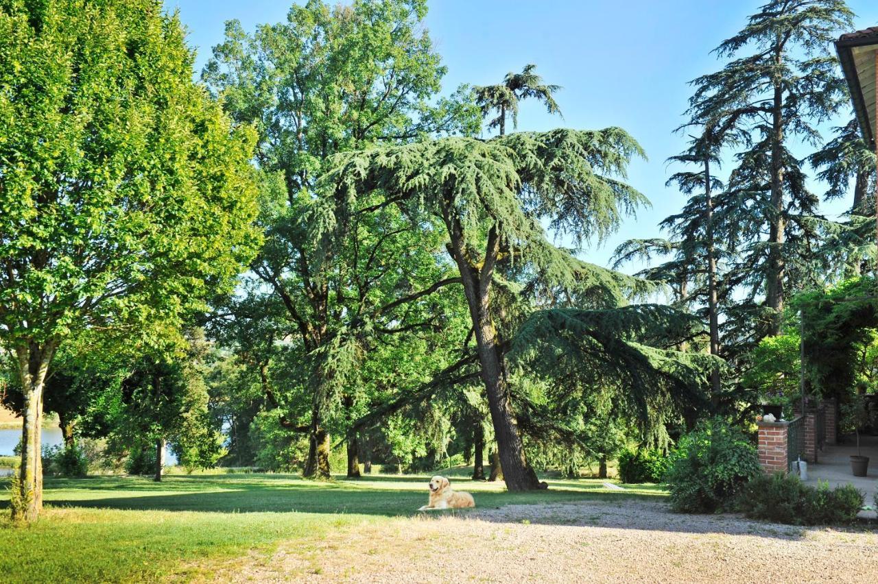 Clos Saint-Blaise Albi Kültér fotó